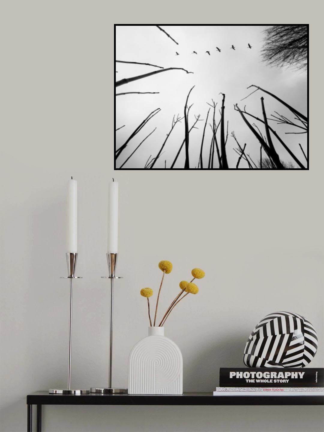 Reaching the skies Poster och Canvastavla