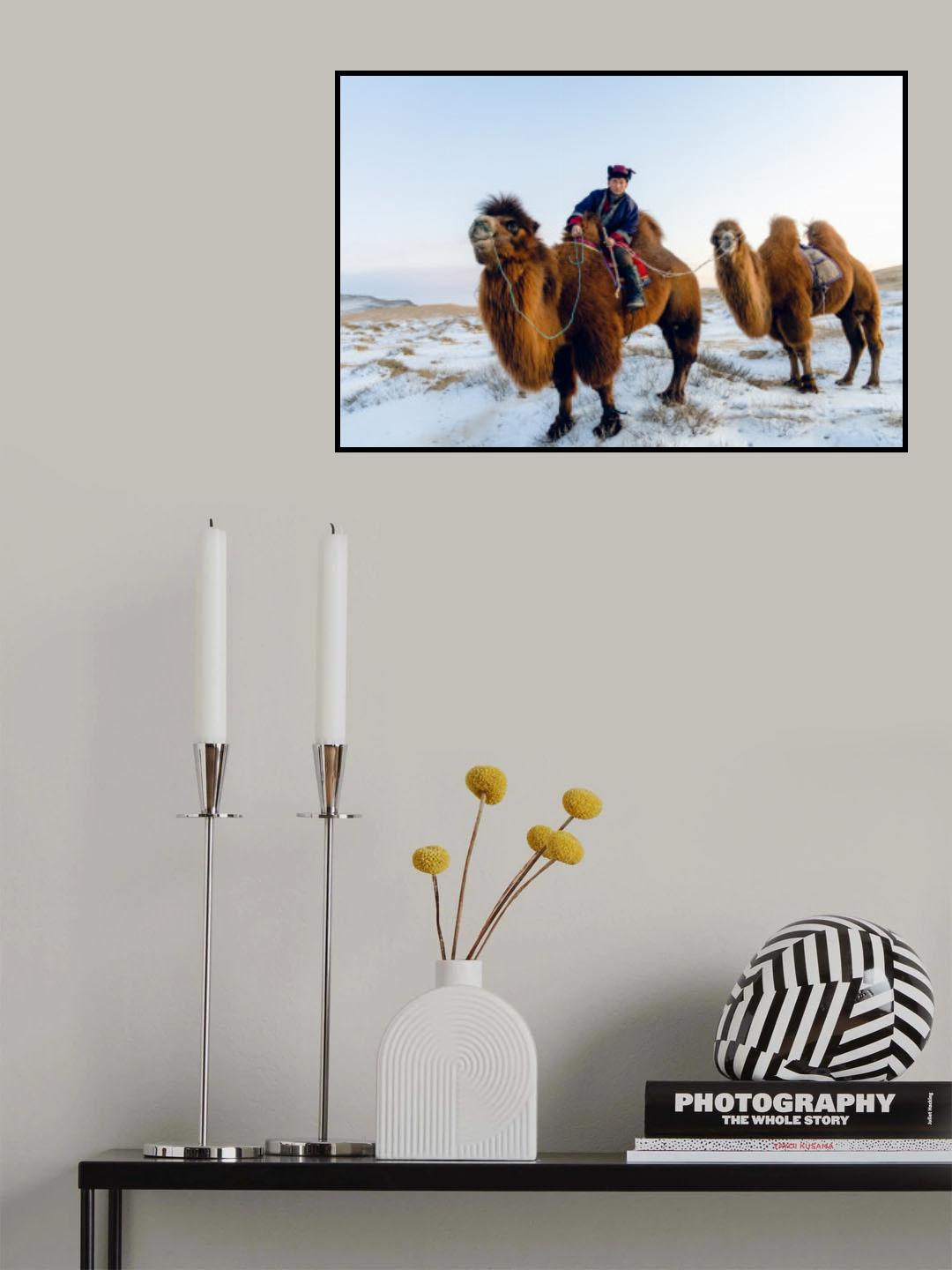 No.149 Poster och Canvastavla