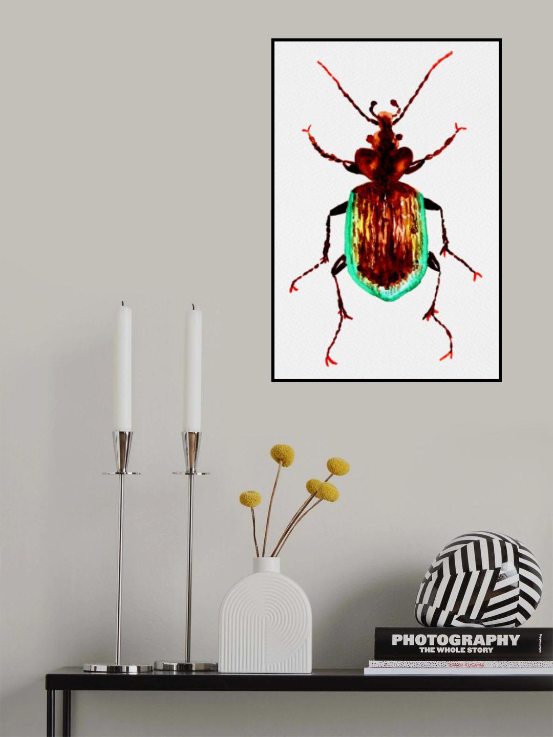 Caterpillar hunter beetle or Calosoma scrutator Poster och Canvastavla