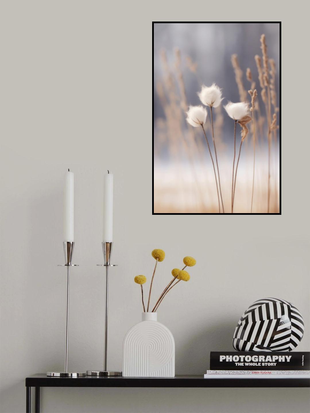 Cotton Flowers Poster och Canvastavla