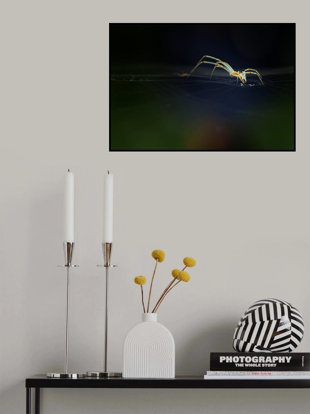 The Little Spider Poster och Canvastavla