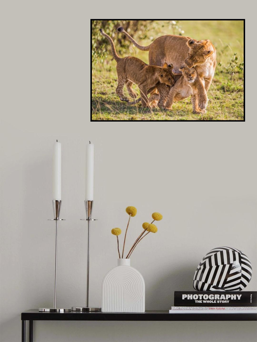 Tender Poster och Canvastavla