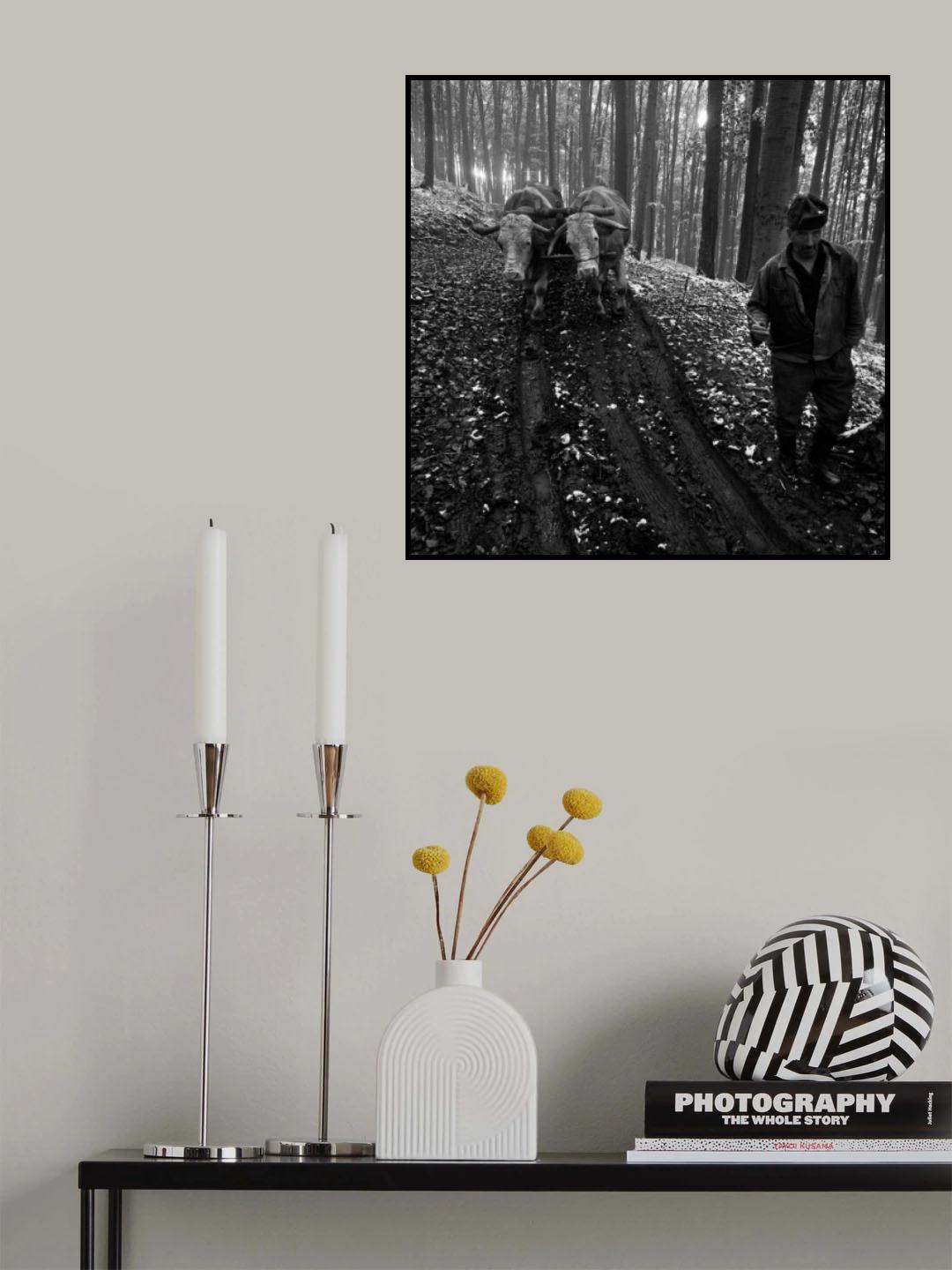 o poveste adevarata (a true story) Poster och Canvastavla