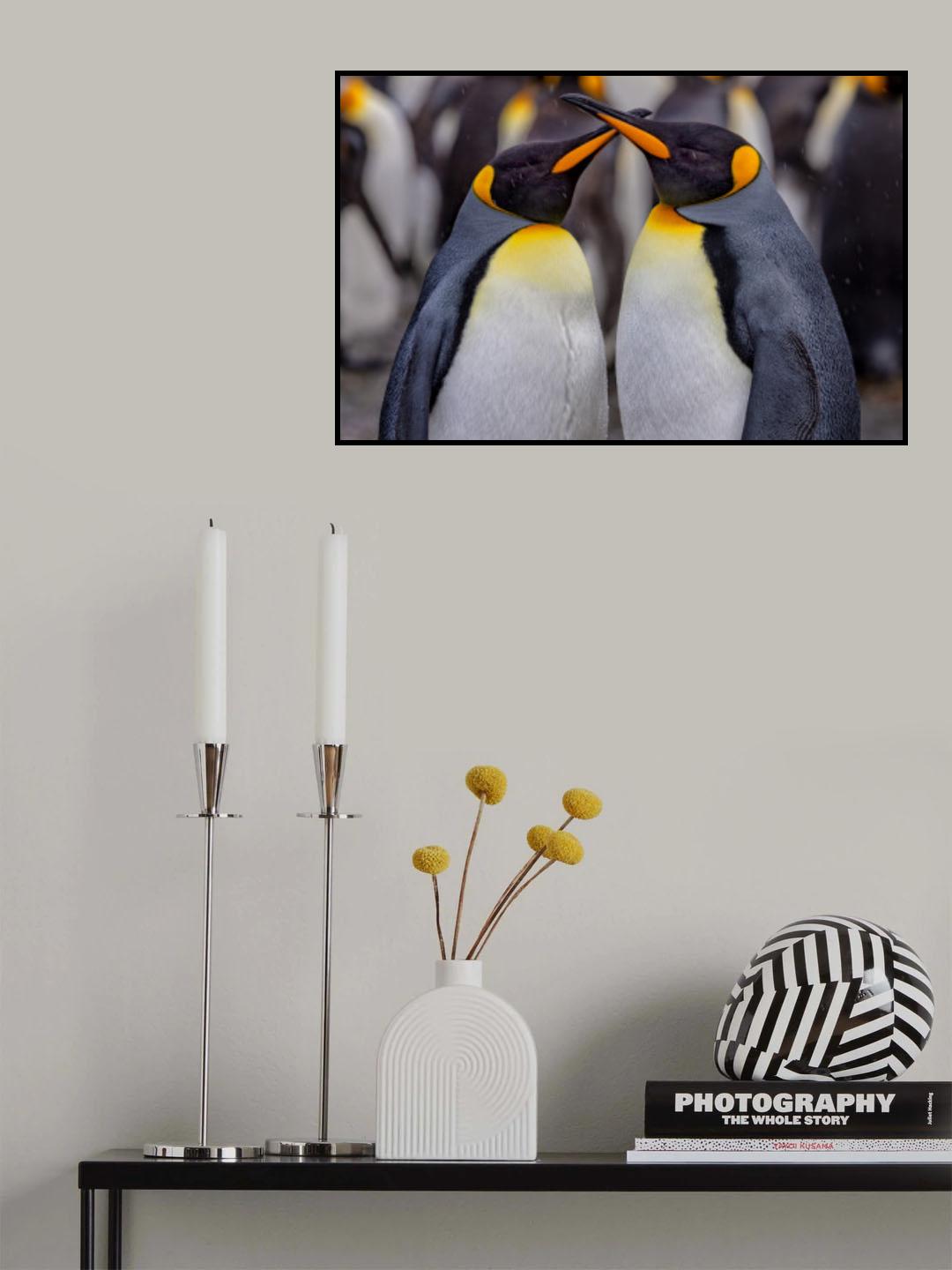King Penguins in Snowy Day Poster och Canvastavla