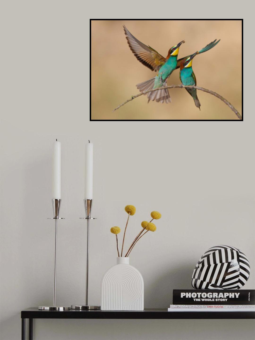 Bee-eaters Poster och Canvastavla