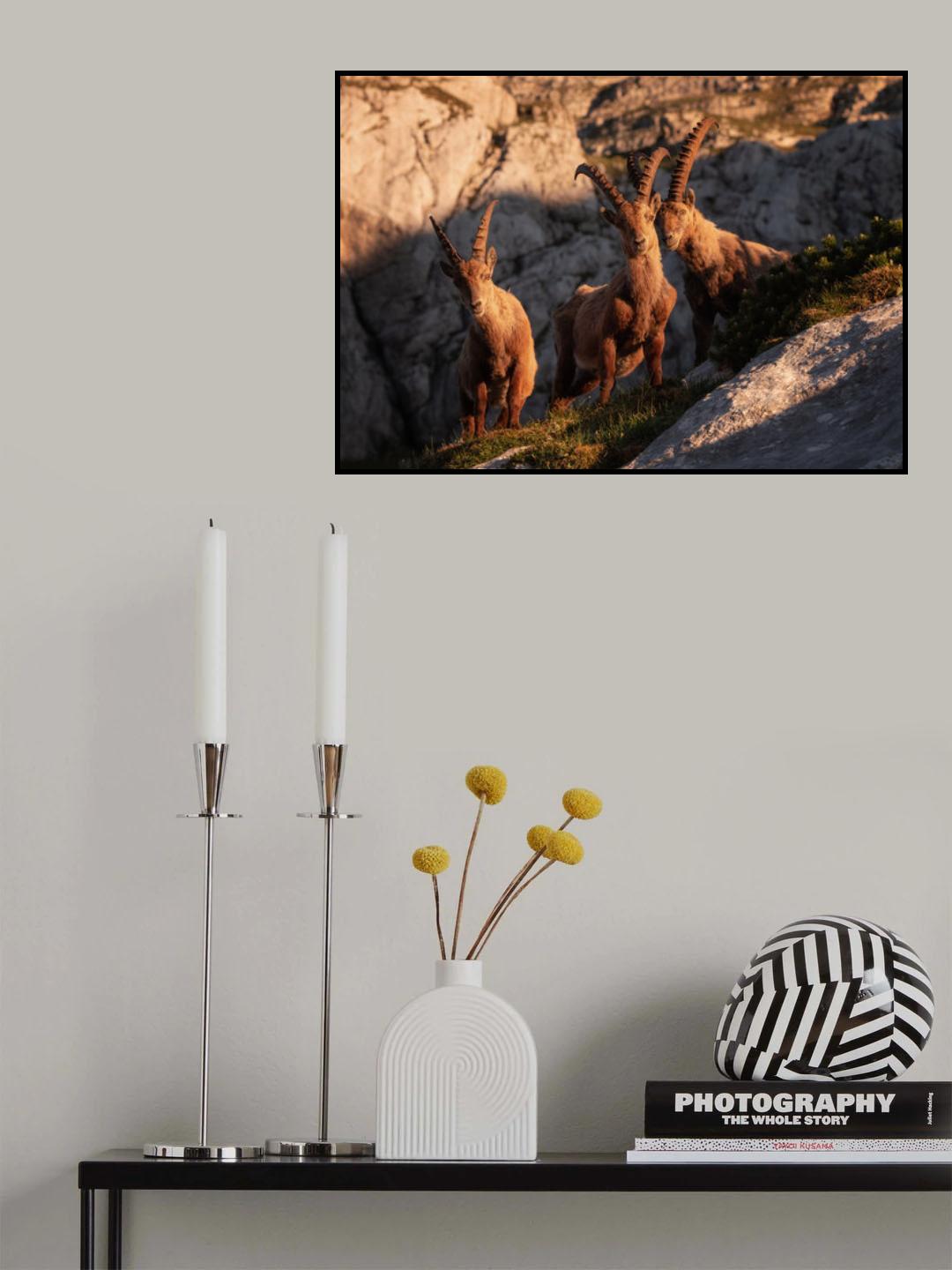 Happy trio Poster och Canvastavla