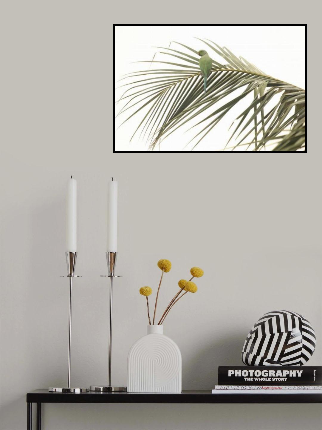 perched Poster och Canvastavla