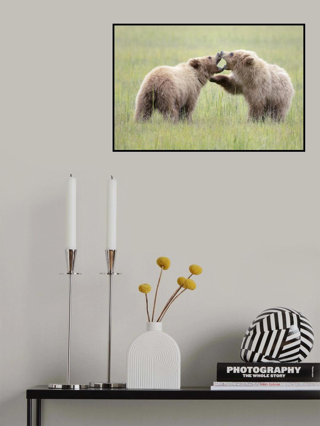 Cub Bear Play Time Poster och Canvastavla