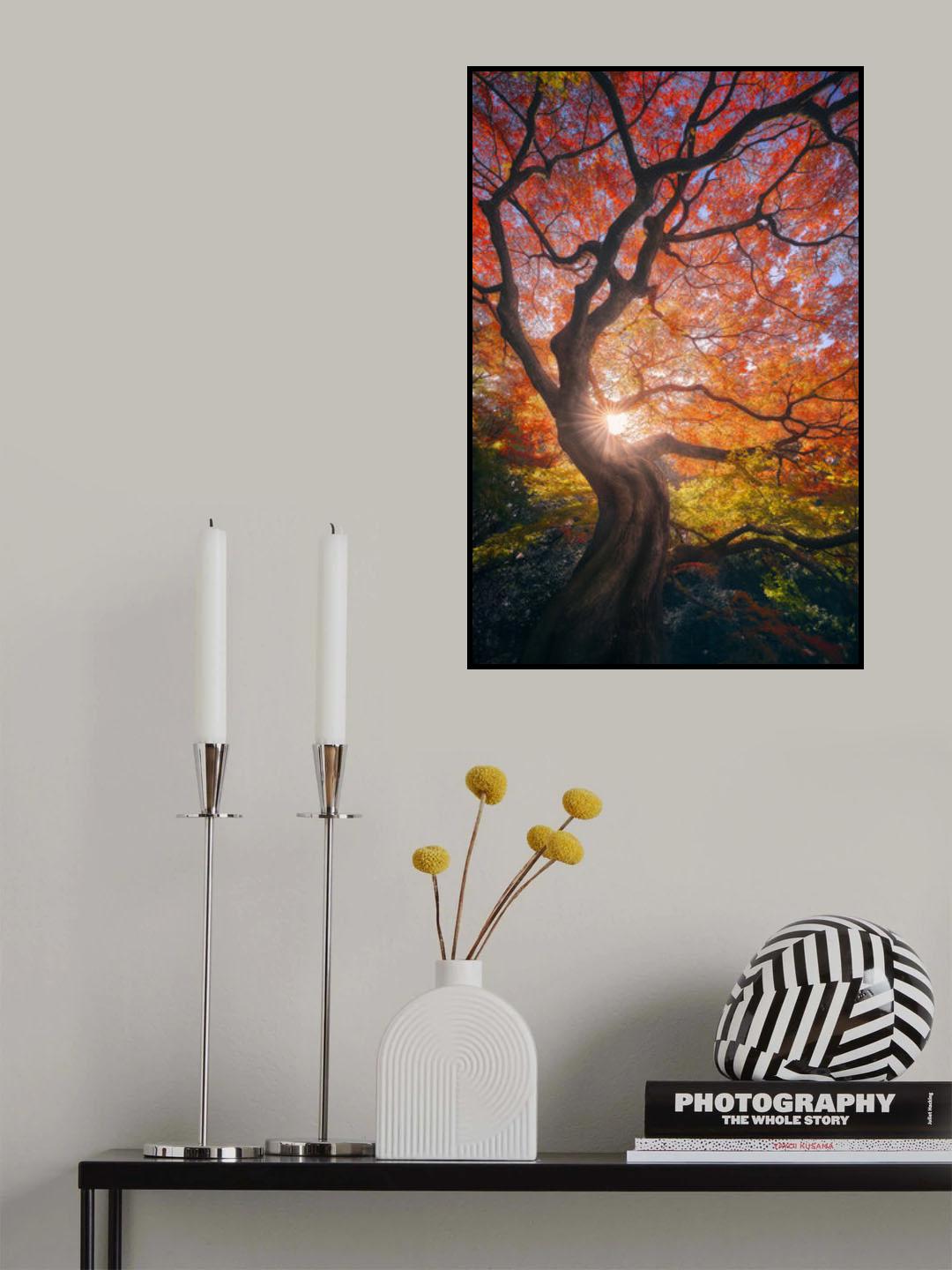 The Japanese Tree Poster och Canvastavla