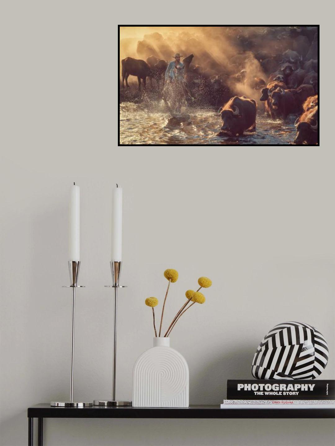 The buffalo shepherd Poster och Canvastavla