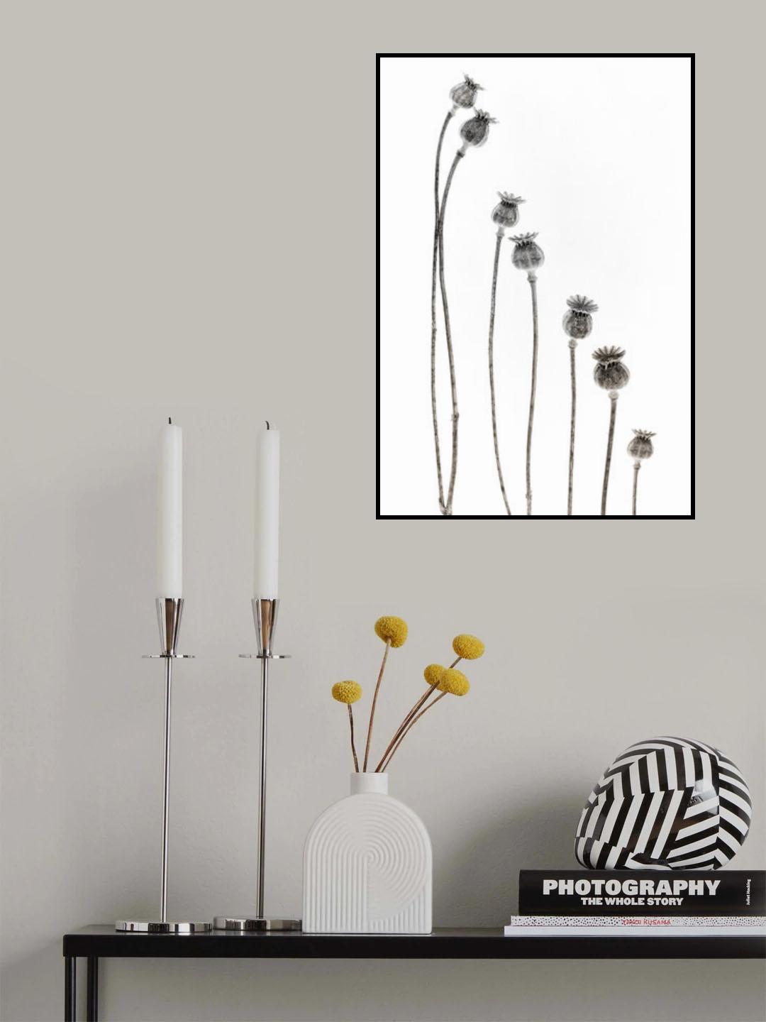 A new addition Poster och Canvastavla
