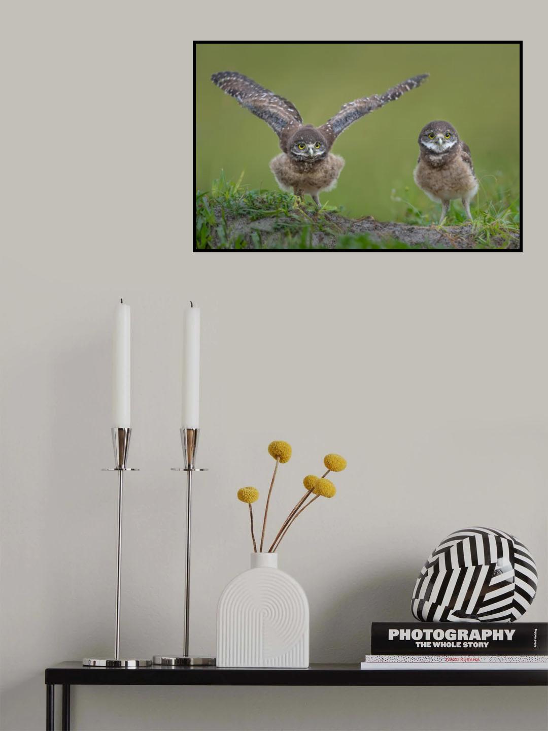 Learning to Fly Poster och Canvastavla