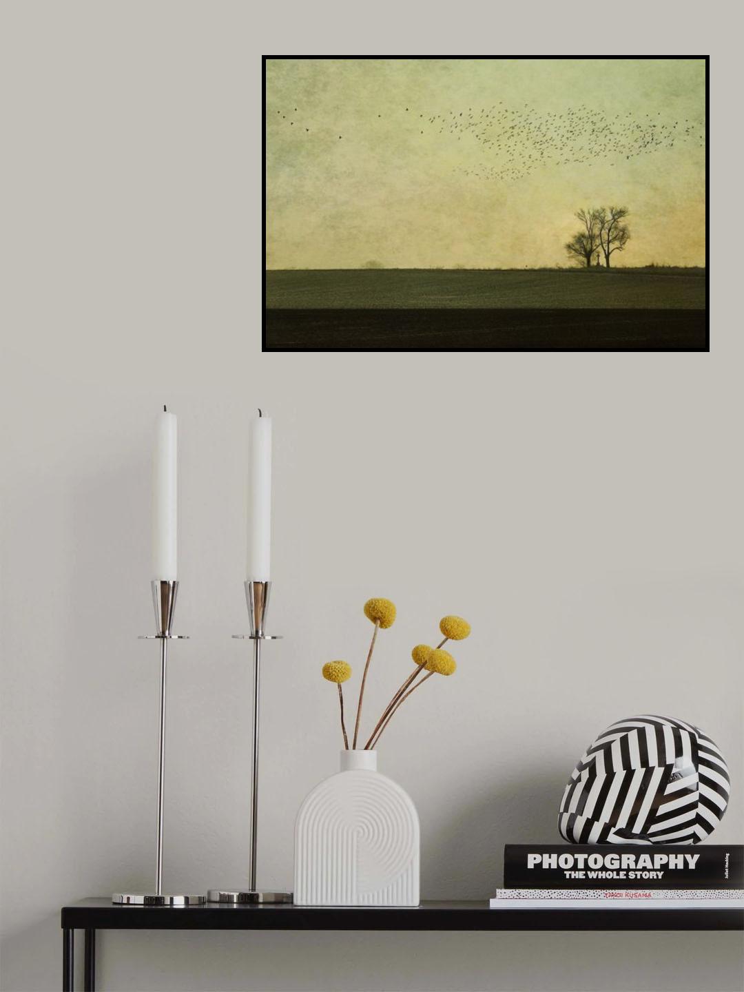 in a silent way Poster och Canvastavla