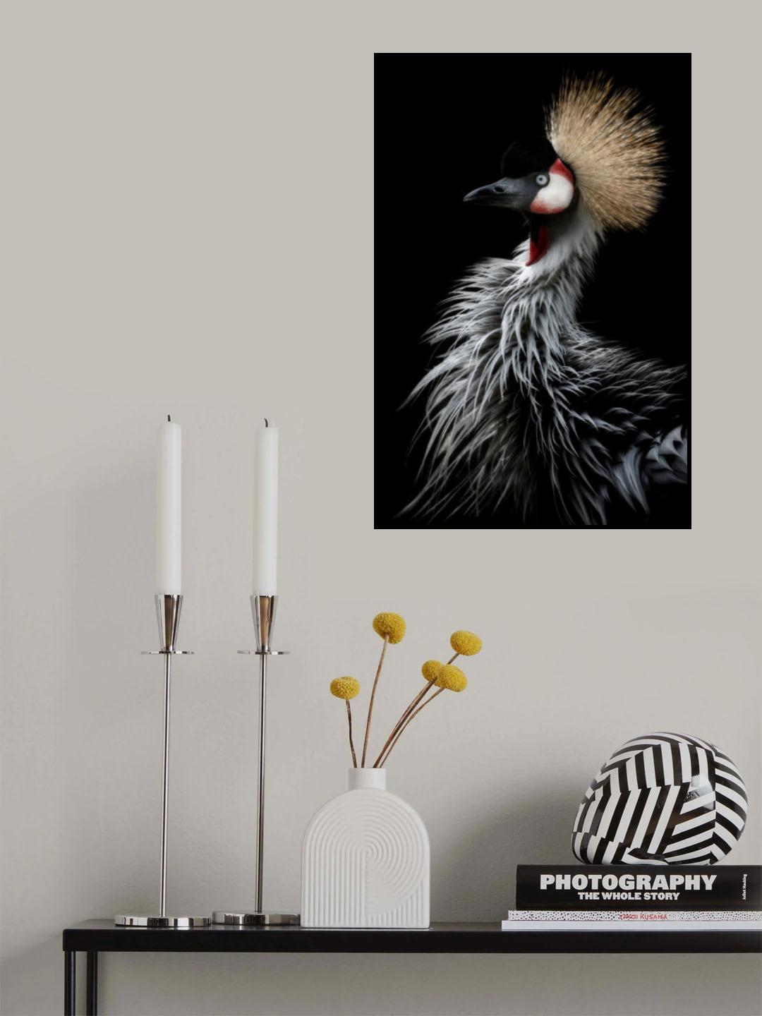 Crowned crane's portrait Poster och Canvastavla