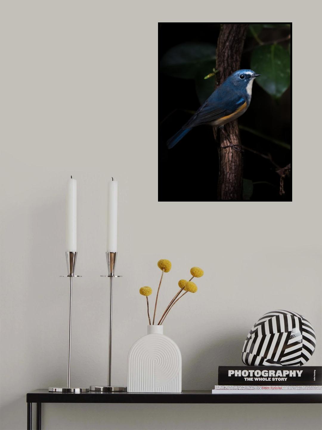 Blue Bird of Happiness Poster och Canvastavla