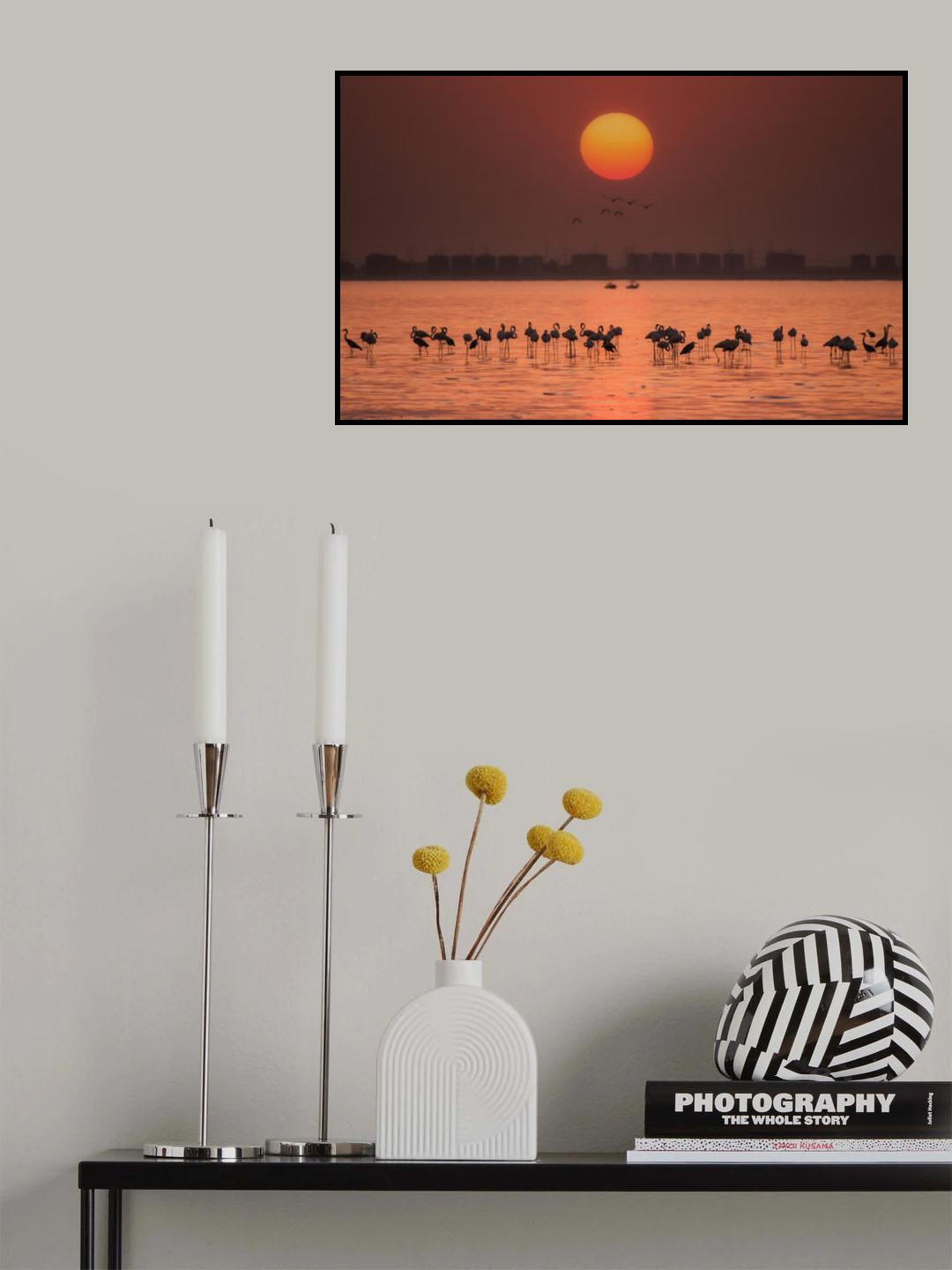 Remarkable sunset Poster och Canvastavla