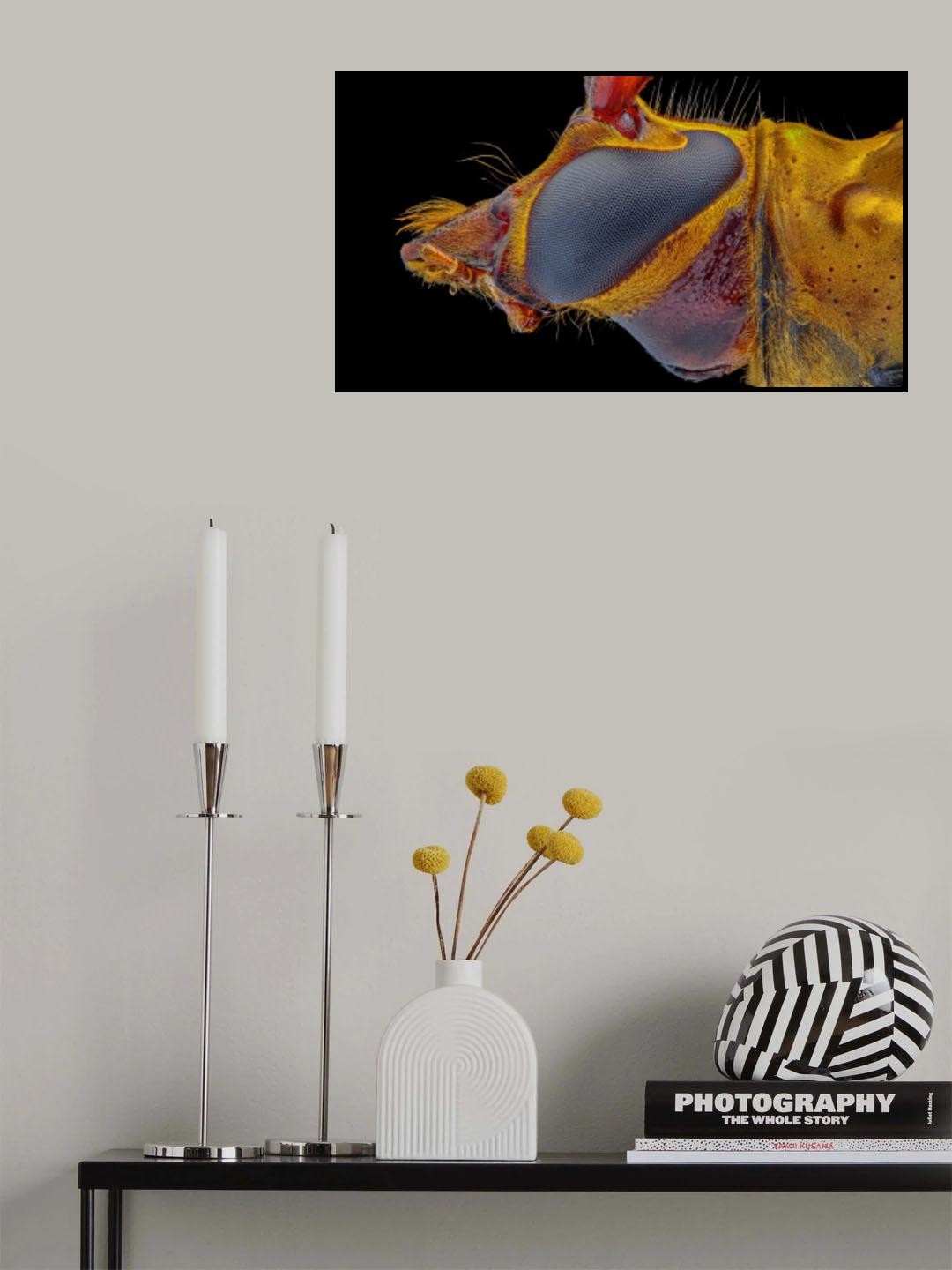 The Orange Poster och Canvastavla