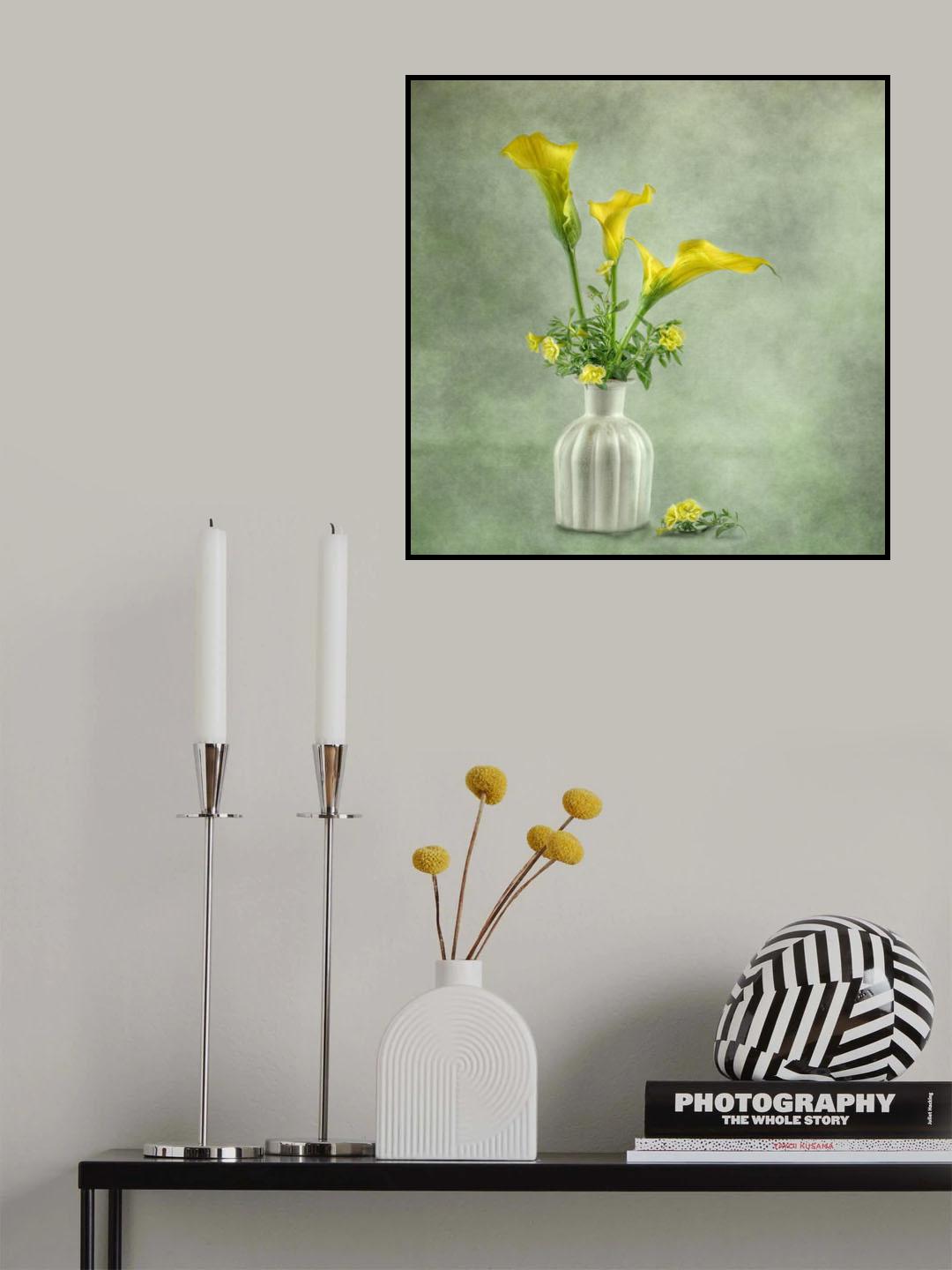 Calia Lillies Poster och Canvastavla