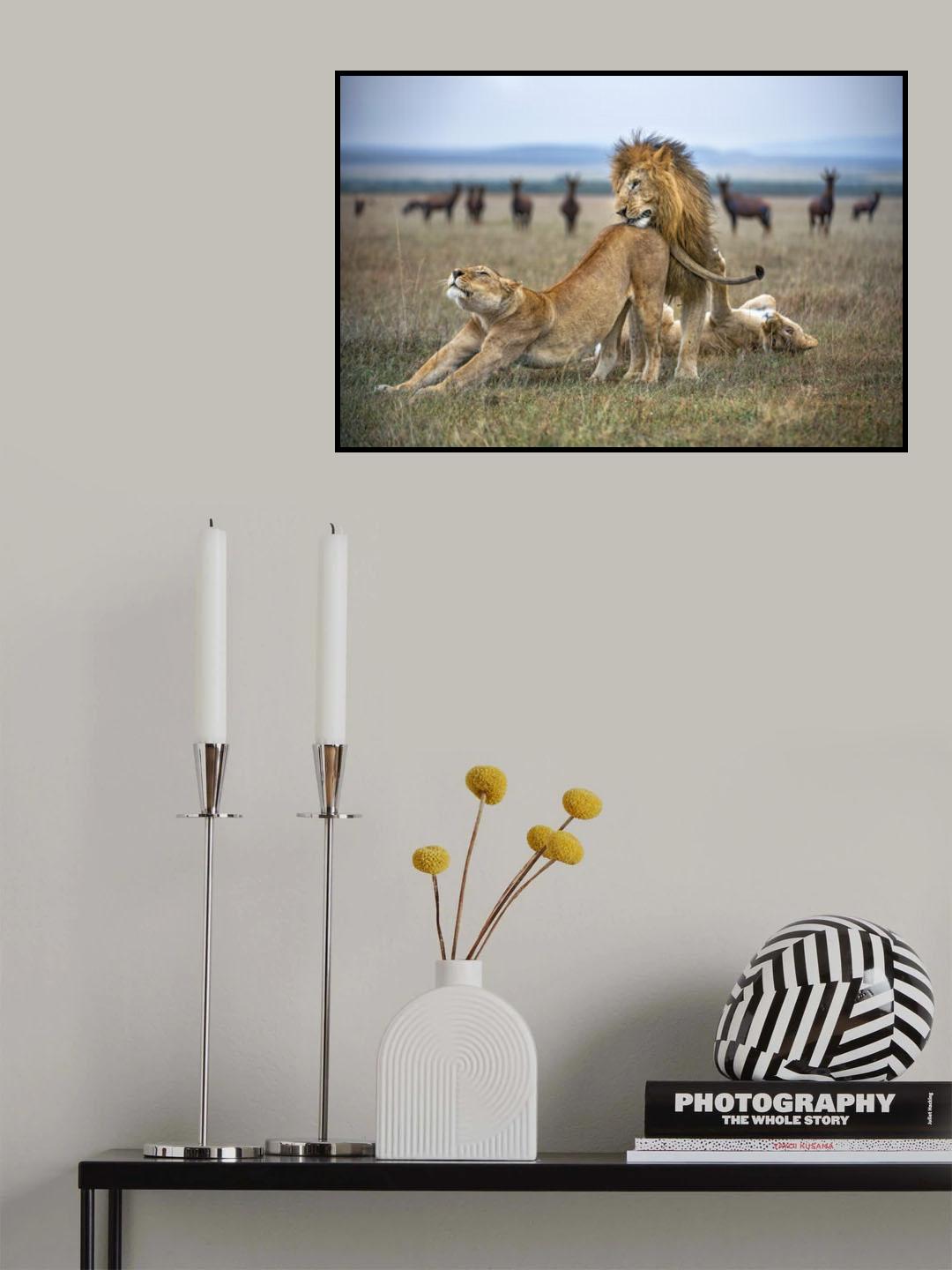 Lovers Poster och Canvastavla