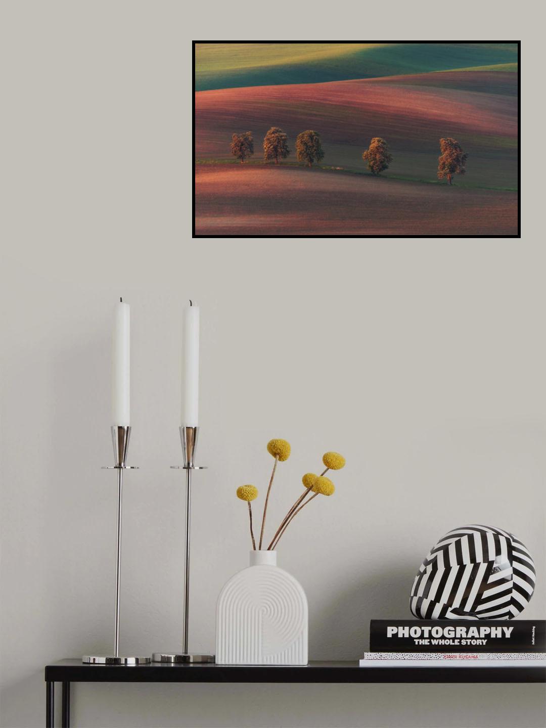 Chestnut avenue Poster och Canvastavla