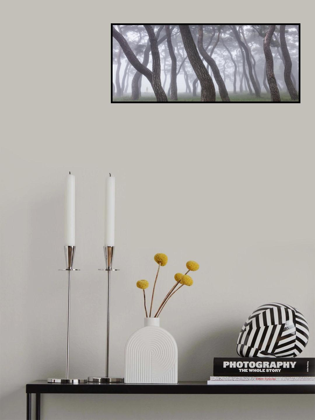 Pine Grove in Fog-3 Poster och Canvastavla