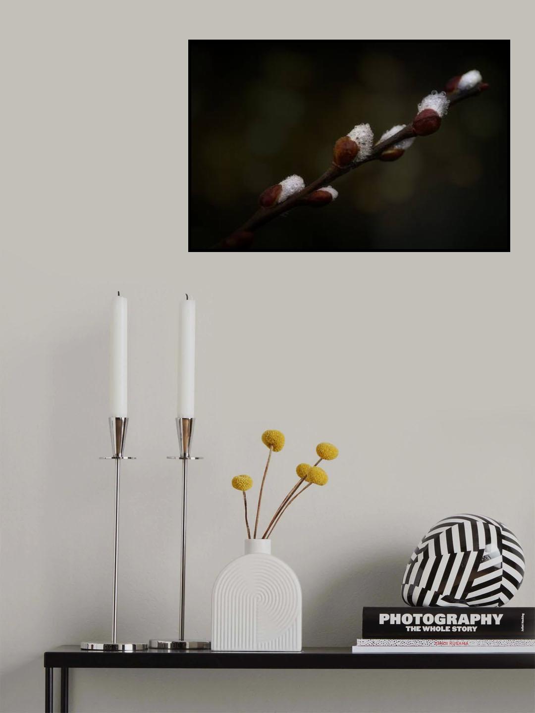early spring Poster och Canvastavla