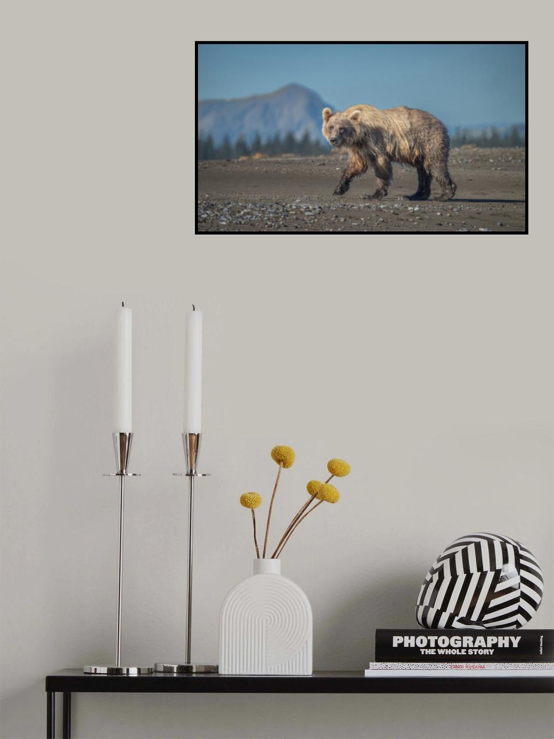 Ursus arctos horribilis Poster och Canvastavla
