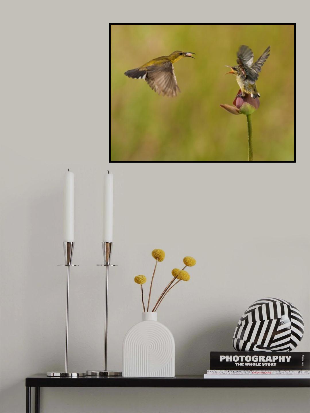 I Surrender Poster och Canvastavla