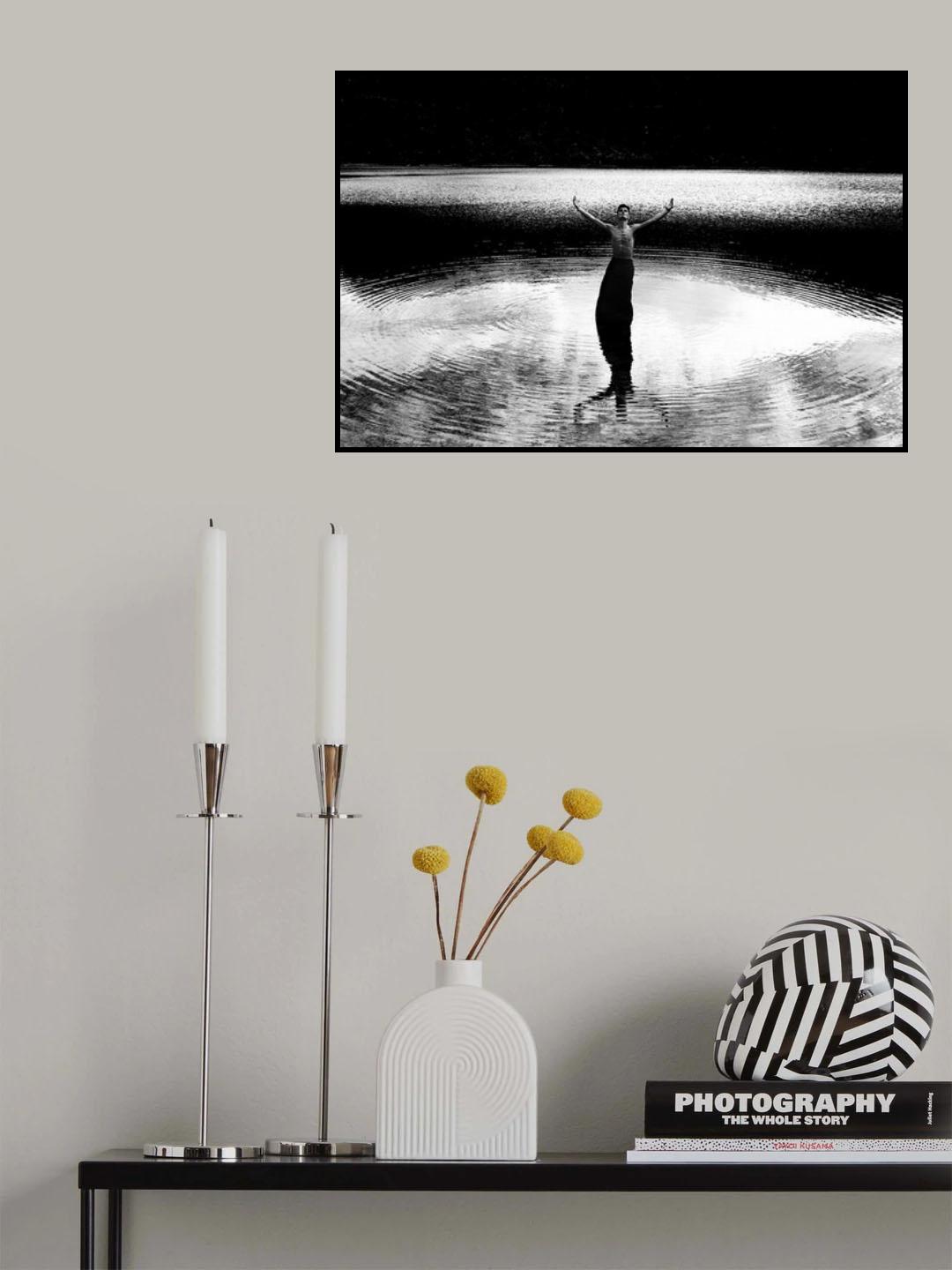 n/t Poster och Canvastavla
