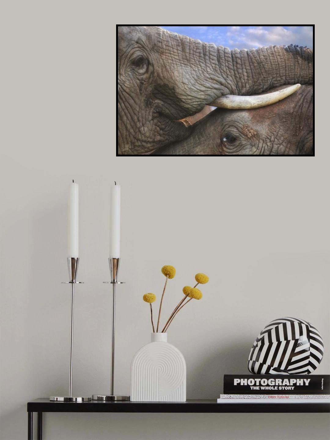 Addo Love Poster och Canvastavla