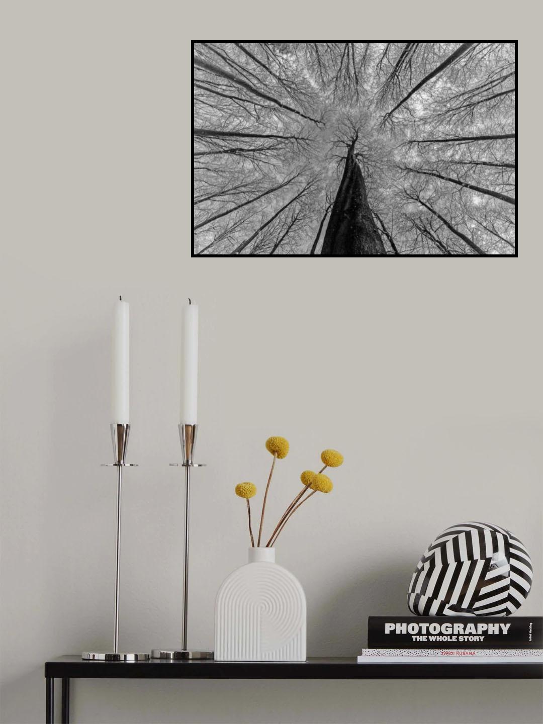 Winter views Poster och Canvastavla