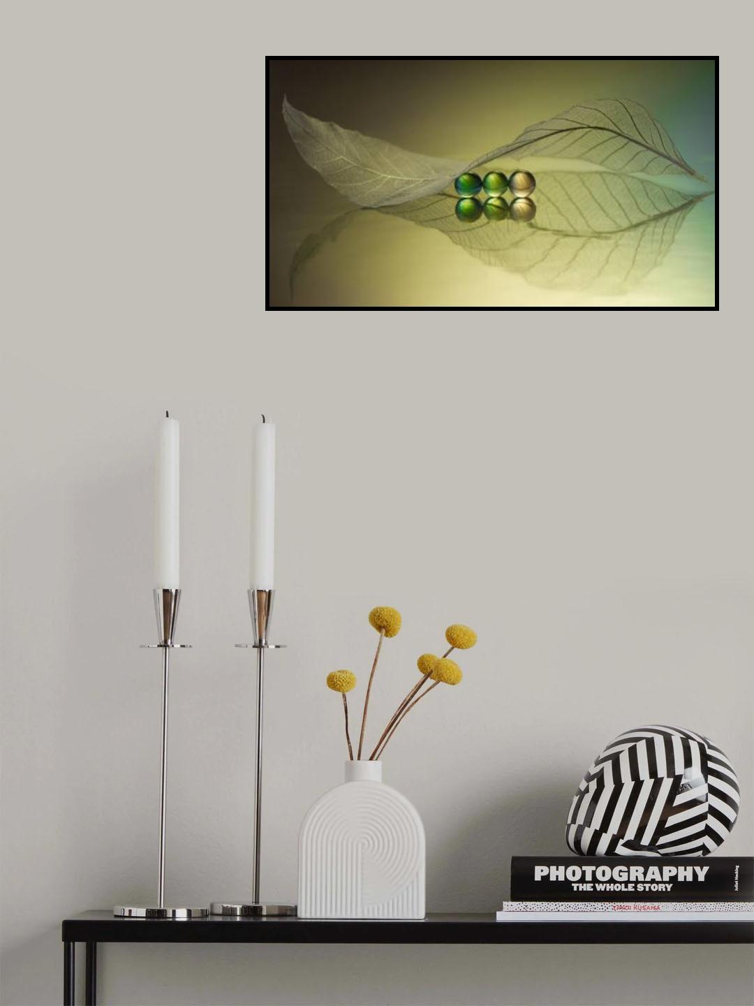 ●●● Poster och Canvastavla