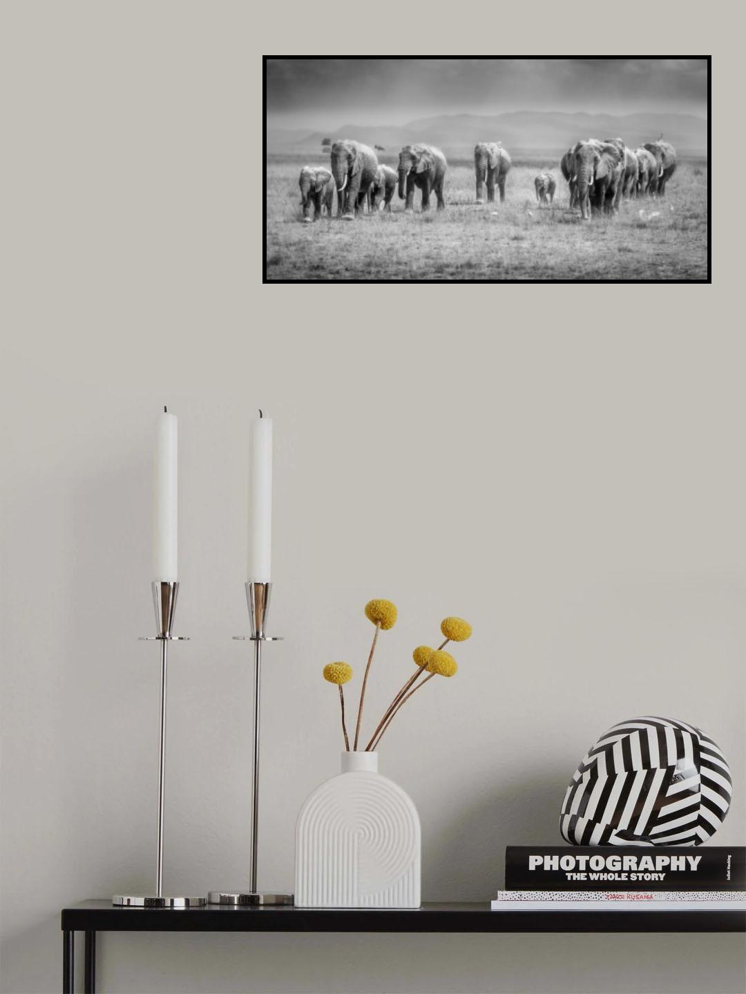 Magical Amboseli Poster och Canvastavla