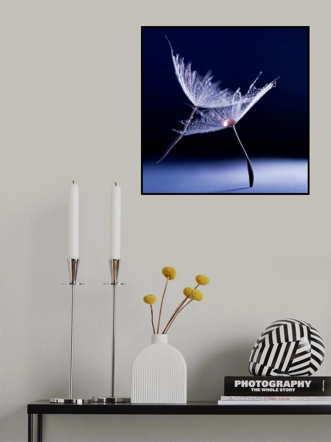 last dance Poster och Canvastavla