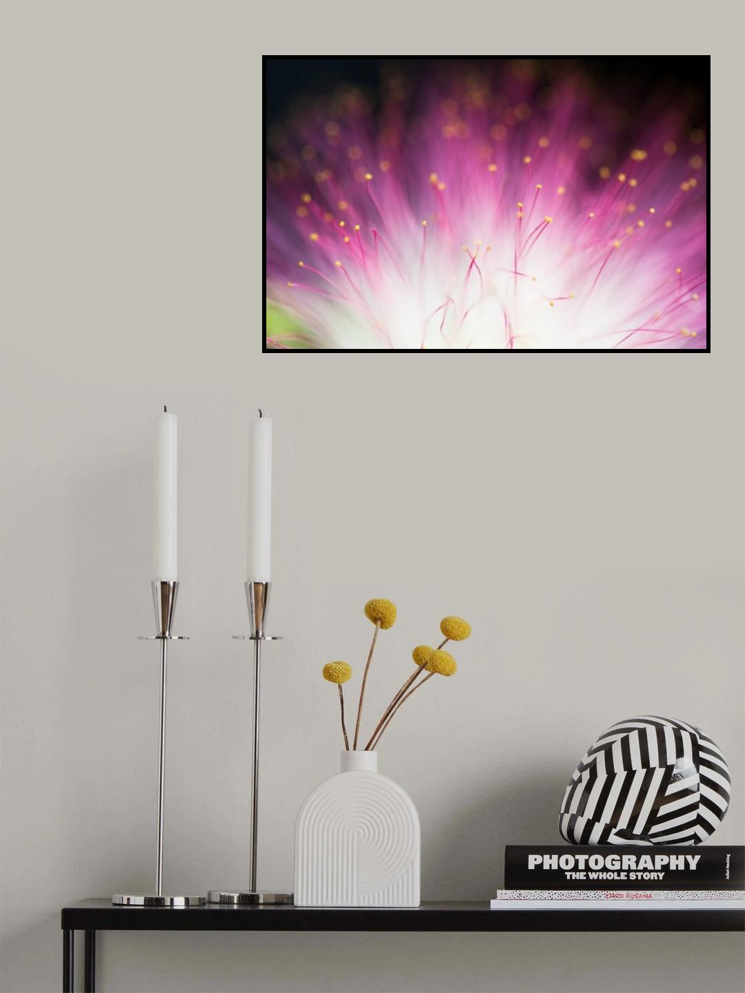 Elfin Poster och Canvastavla