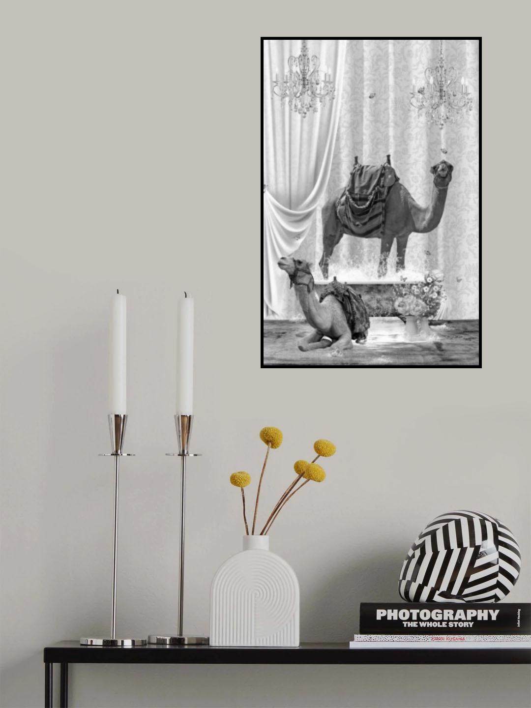 Camels & Bubbles Black & White Poster och Canvastavla
