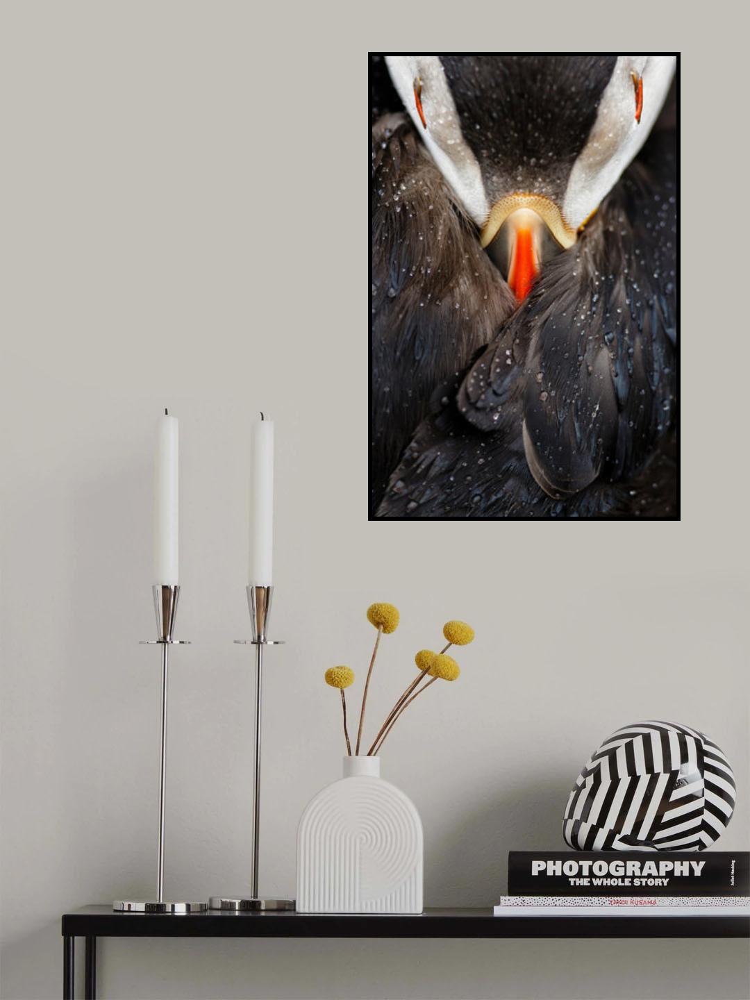 Puffin studio Poster och Canvastavla
