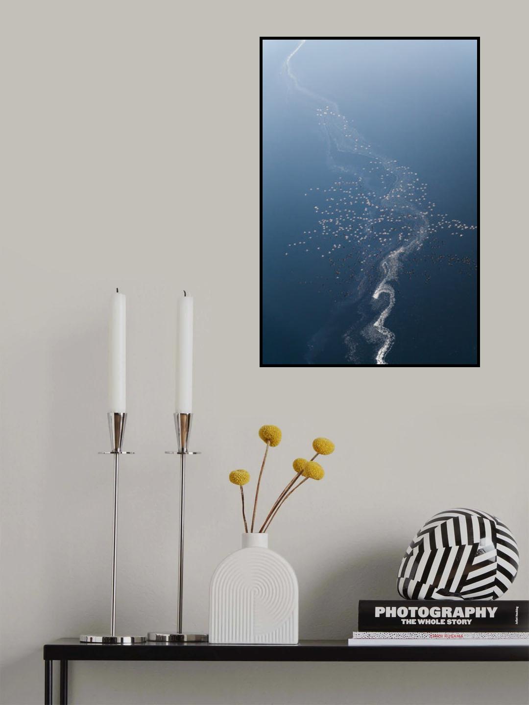 Tree of Flamoingos Poster och Canvastavla