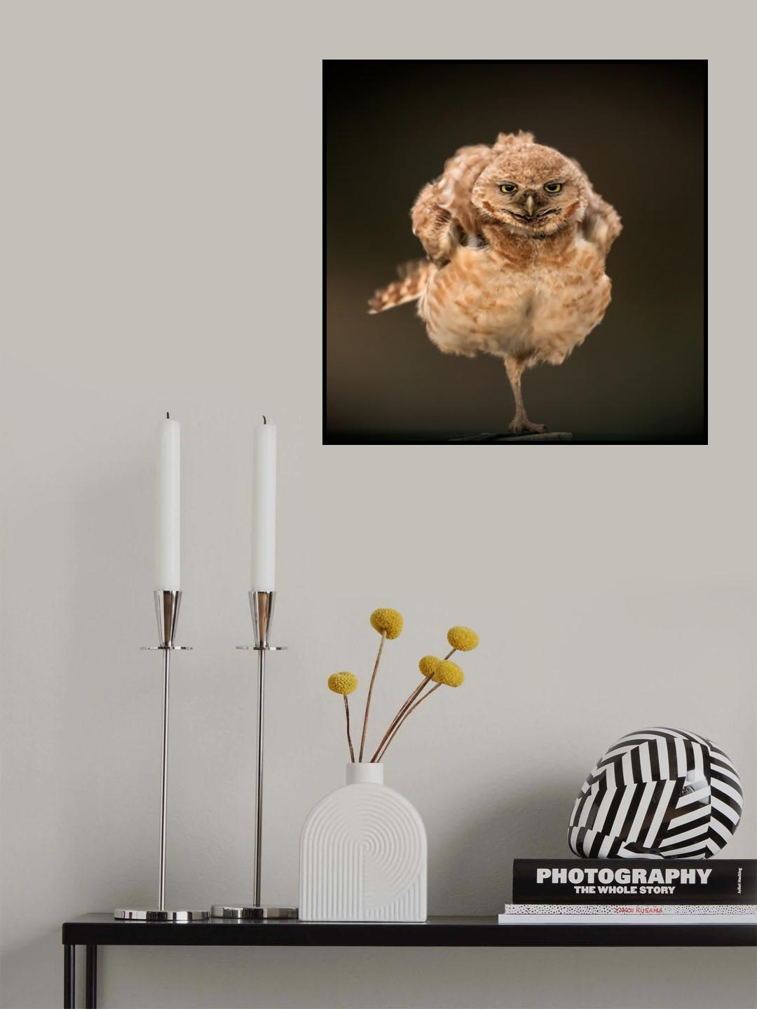 Poster och Canvastavla