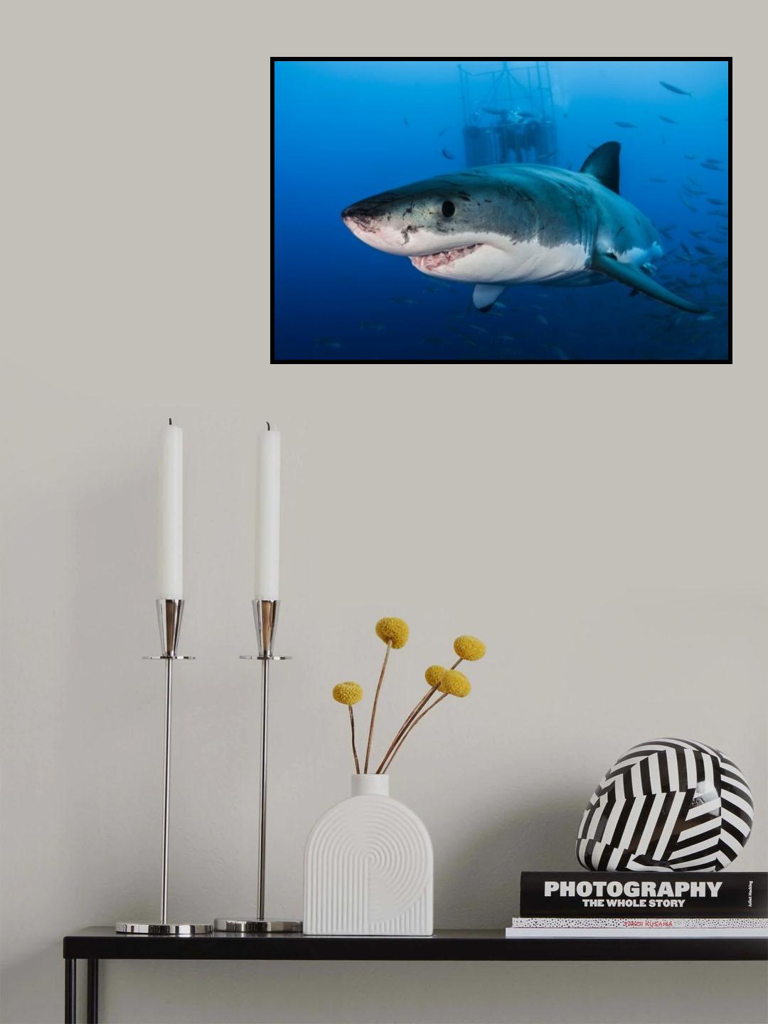 Great White Poster och Canvastavla