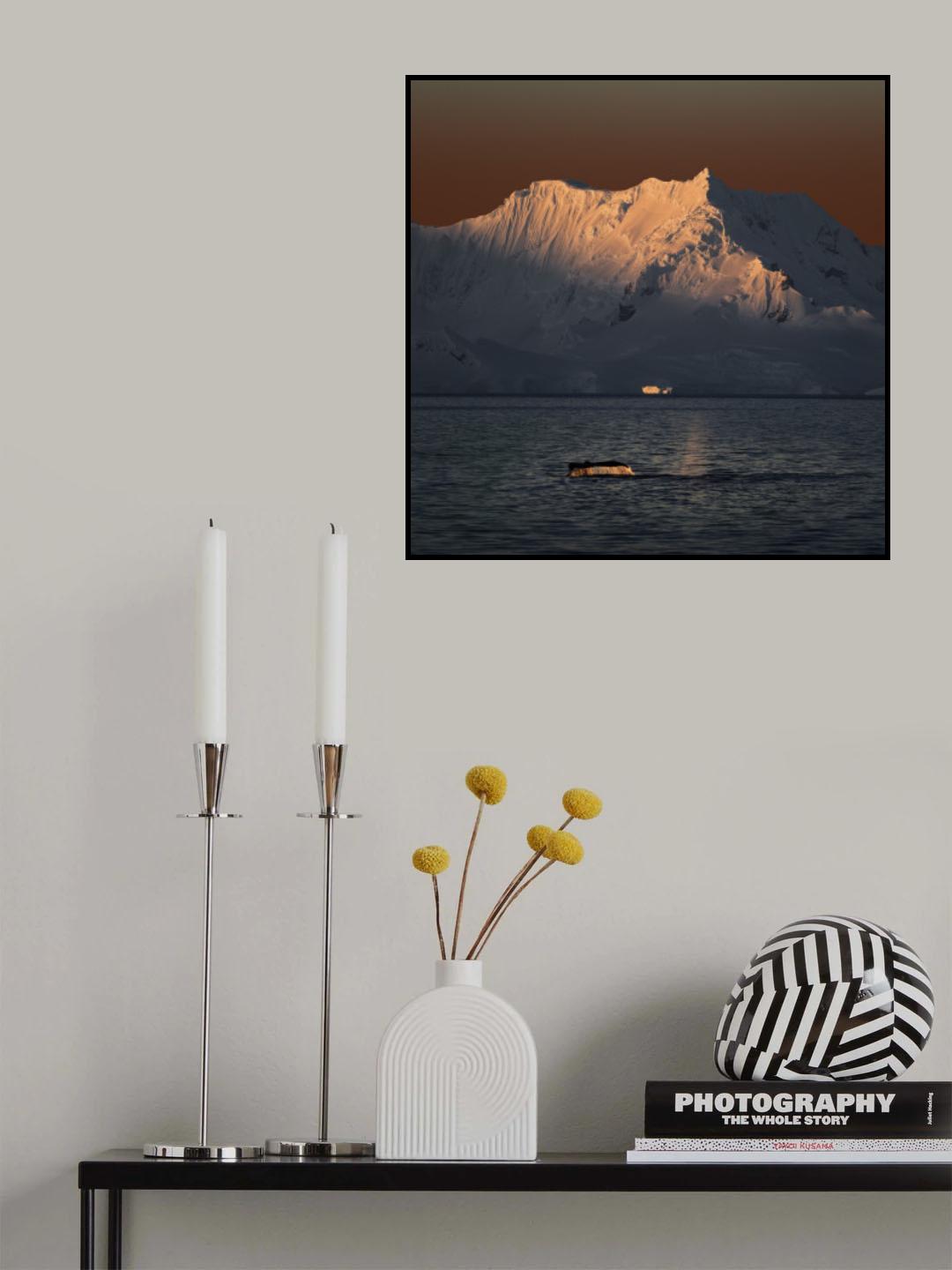 Antarctica in my memory Poster och Canvastavla