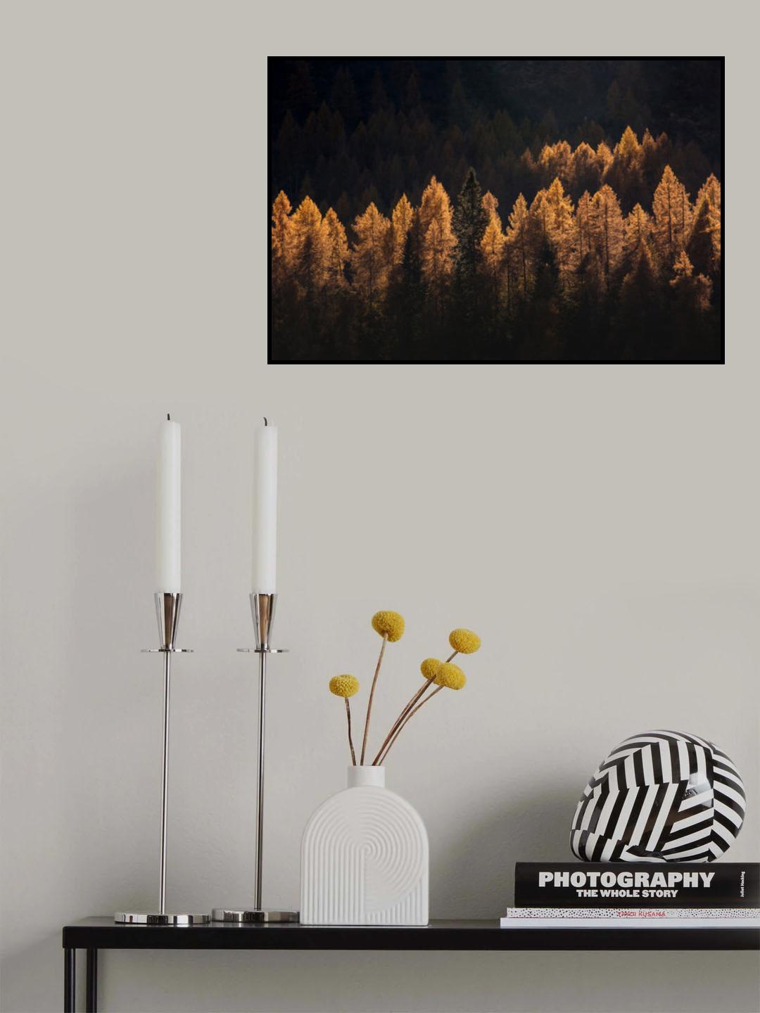 light for a few Poster och Canvastavla