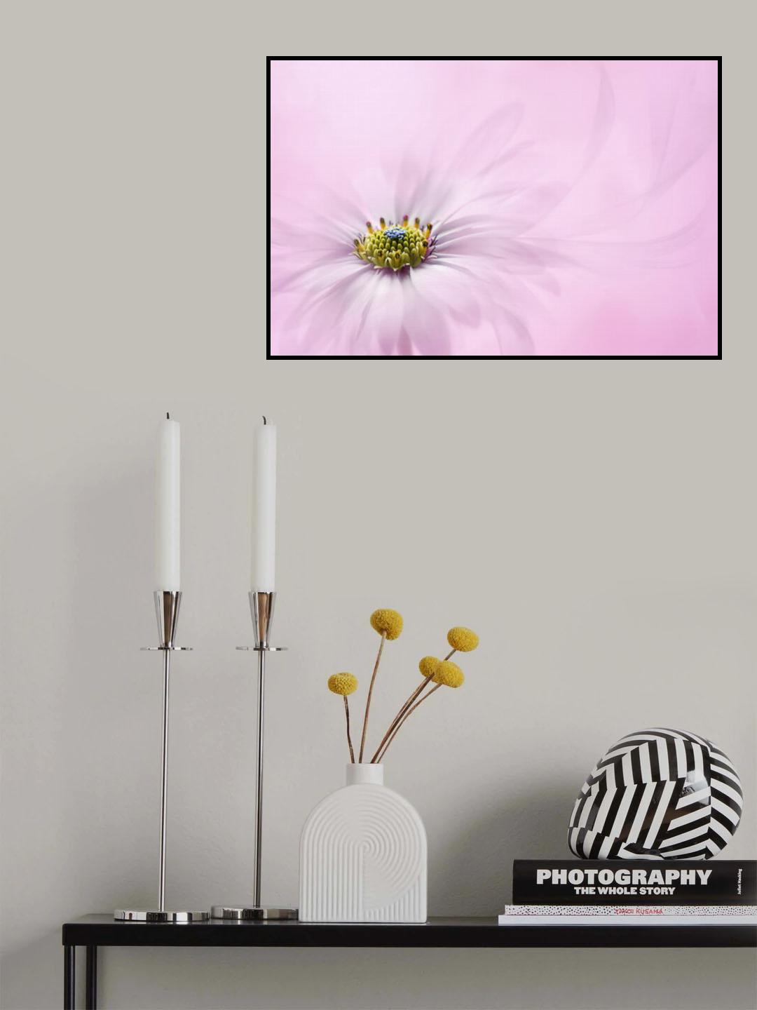 Softnesss Poster och Canvastavla
