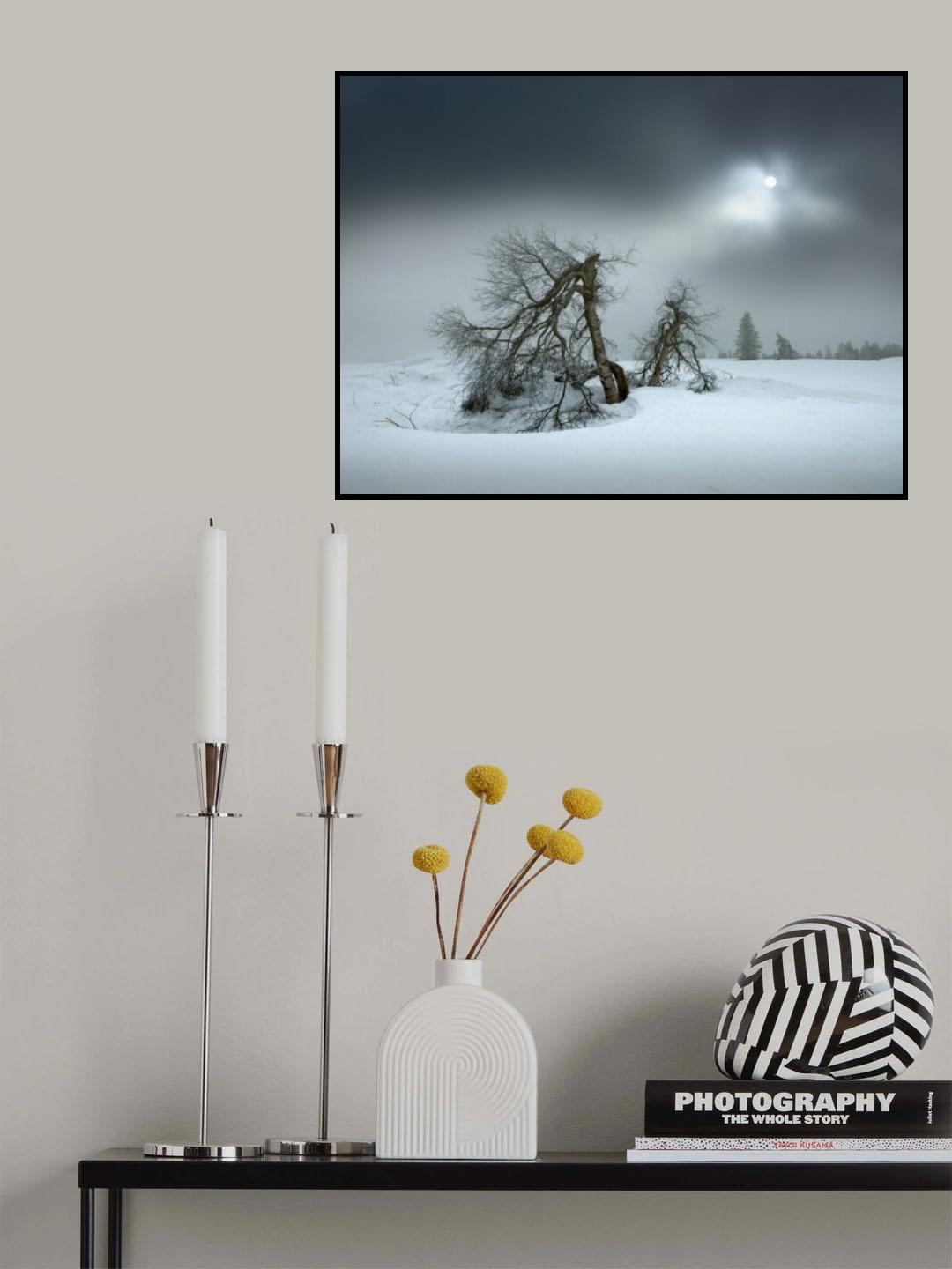 last days of winter Poster och Canvastavla
