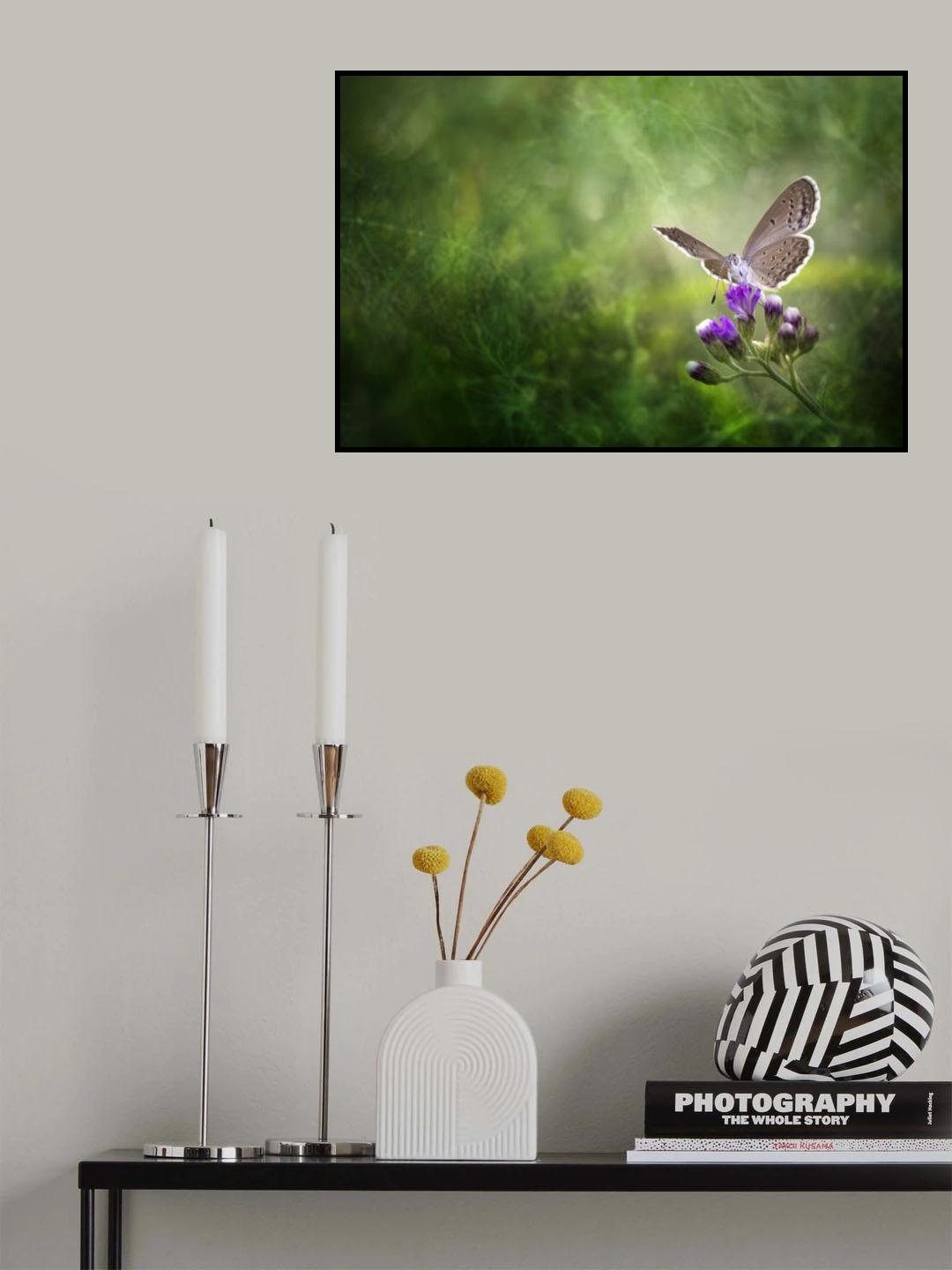 Hidden Beauty Poster och Canvastavla