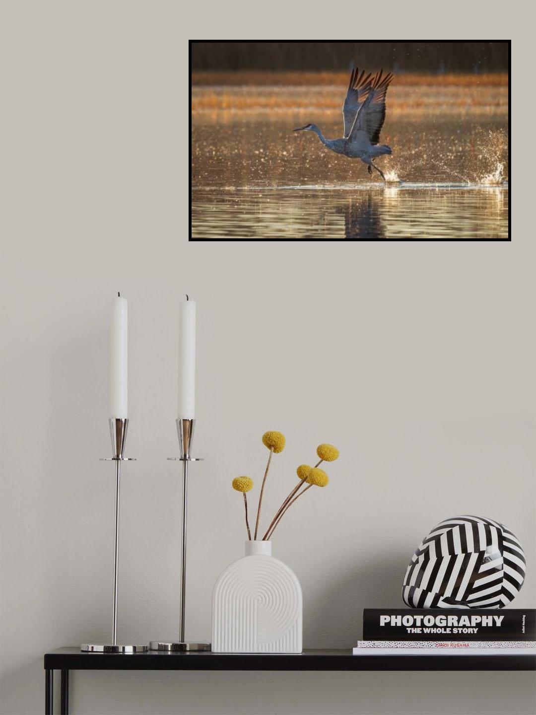 Take Off Poster och Canvastavla