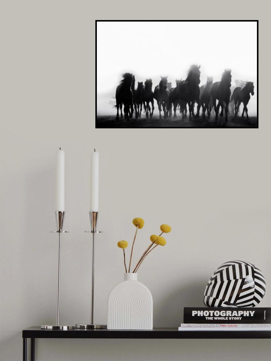 horses Poster och Canvastavla