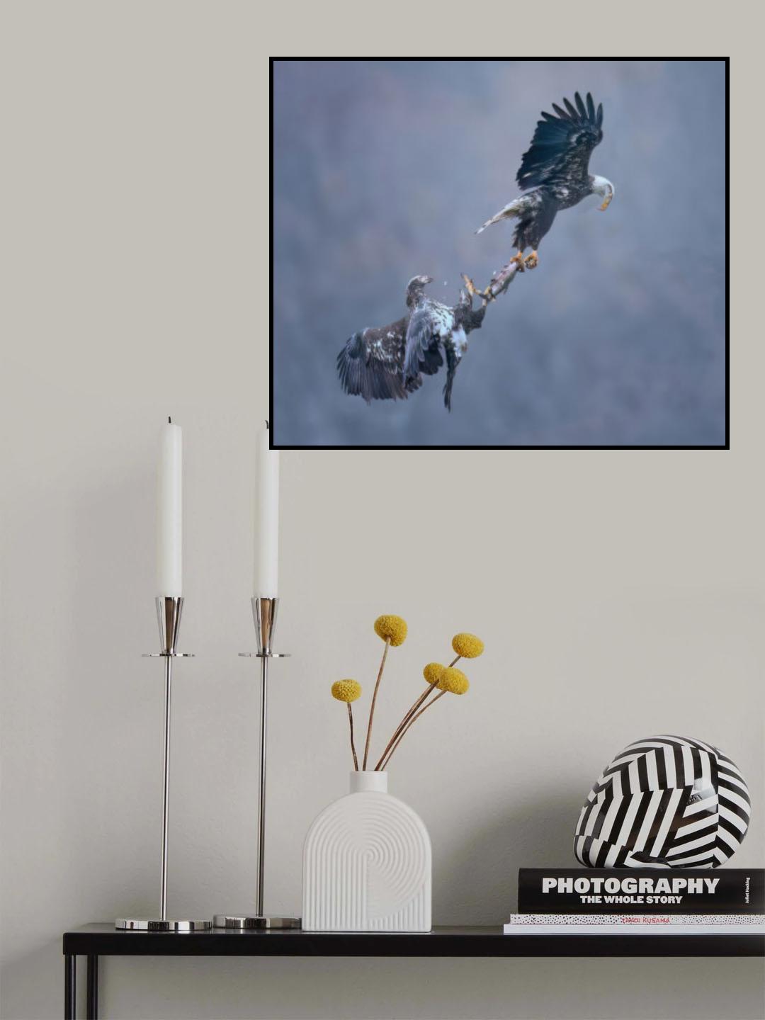 Snatch fish Poster och Canvastavla
