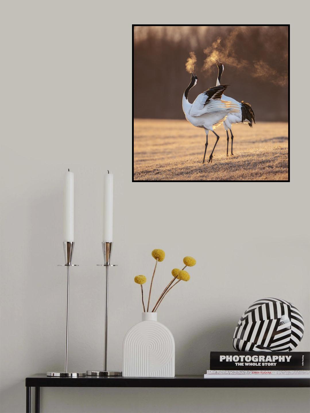 One life one love Poster och Canvastavla