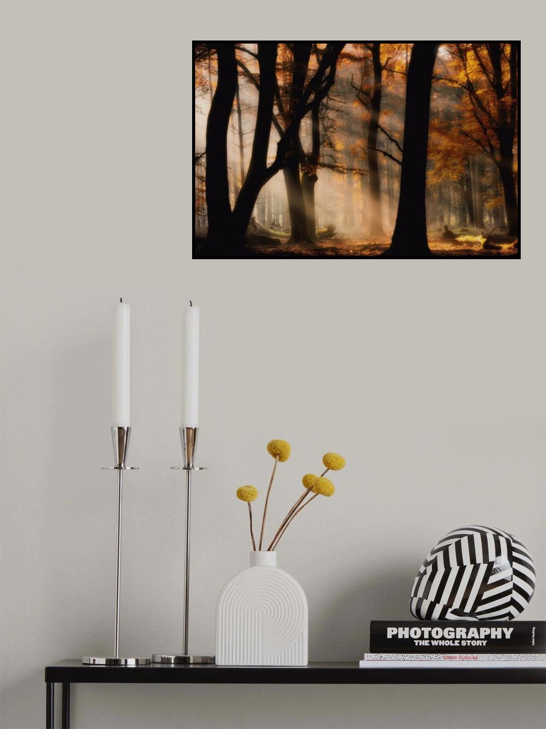 Autumn light Poster och Canvastavla
